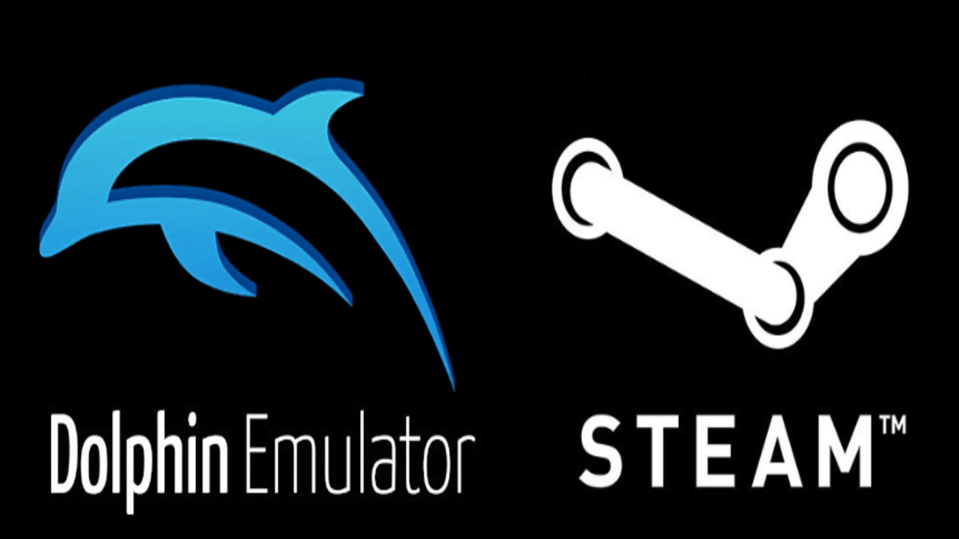 Dolphin Emulator + Steam